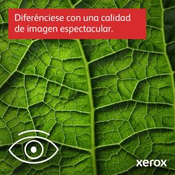 Multifuncional Xerox VersaLink c7125_S MF Printer 1TM (8NB)