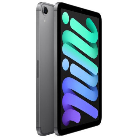 IPad mini wi-fi cellular 512GB space grey