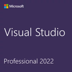 CSP Visual Studio Professional 2022 - perpetua