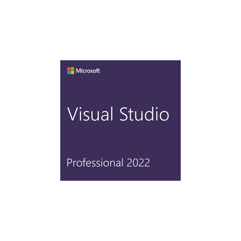 CSP Visual Studio Professional 2022 - perpetua