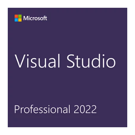 CSP Visual Studio Professional 2022 - perpetua