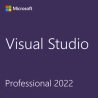 CSP Visual Studio Professional 2022 - perpetua