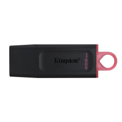 Memoria USB Kingston Technology DTX 256GB - Negro, 256 GB, USB