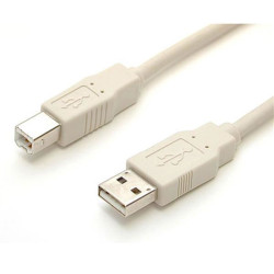 Cable USB 2.0 StarTech.com, 1.8 m, USB A, USB B, Macho Macho, Beige