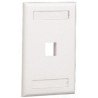 Placa de pared vertical, salida para 1 puerto, con espacio para etiqueta - Blanco