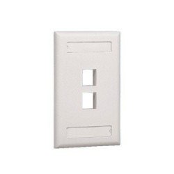 Placa de pared vertical, salida para 2 puertos, con espacio para etiqueta - Marfil