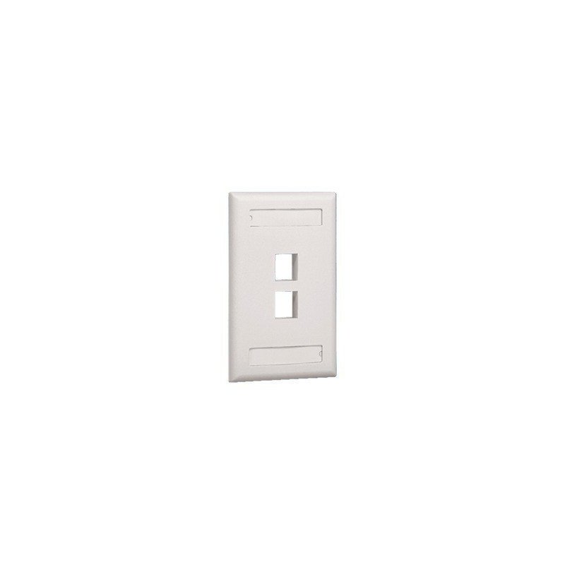Placa de pared vertical, salida para 2 puertos, con espacio para etiqueta - Marfil