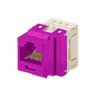 Conector modular punchdown, keystone, Categoría 6, de 8 posiciones y 8 cables - Violeta