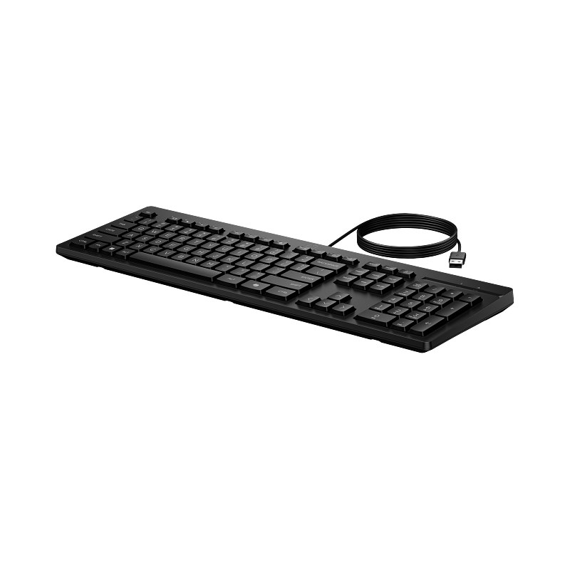 Teclado HP 125 Wired Keyboard, Tamaño completo (100%), Alámbrico, USB, Negro