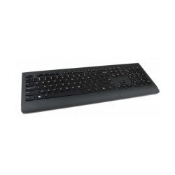 Lenovo teclado profesional, USB, negro, teclas estilo isla de perfil bajo, 1 año cc