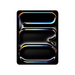 IPad pro de 13 in wifi 256 gb negro espacial