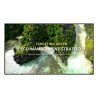 Pantalla plana publicitaria LG 55UL3Q-E, de señalización digital, 139.7 cm (55"), LED, 3840 x 2160 Pixeles, Wifi, 16/7