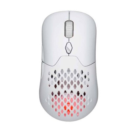 Mouse Gamer Inalámbrico Alto Rendimiento Speeder Perform MG979 Balam R