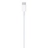 USB-C to Lightning Cable (2 m)