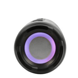 Bocina inalámbrica RGB Perfect Choice con 2 micrófonos inalámbricos, c