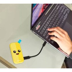 SSD portable SanDisk Fortnite 2TB SDSSDE30-2T00-G25F,