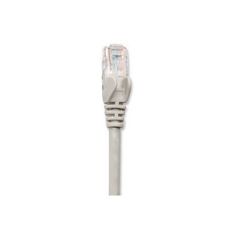 Cable de red Intellinet, 0.5 m, Cat. 6, UTP gris