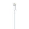 Cable lightning a USB 1 metro blanco