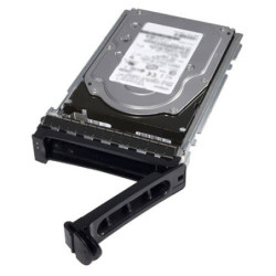 Disco Duro Dell Compatible con servidor T140 - 1000 GB, Serial ATA III, 7200 RPM, 3.5", Unidad de disco duro