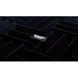 copia de Memoria Kingston Technology FURY Renegade RGB, 32 GB, 2 x 16 GB, DDR4, 288-pin DIMM