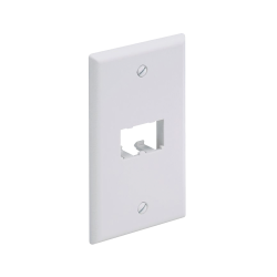 Placa de pared vertical clásica, salida para 2 puertos mini-com, color blanco