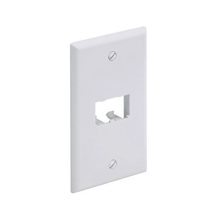 Placa de pared vertical clásica, salida para 2 puertos mini-com, color blanco