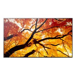 Monitor profesional Sharp de 32 m322 full HD 1920 x 1080 24, 7, 450 cd, m2, 40001, HDMI, DisplayPort HDCP, USB, rj-45