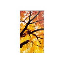 Monitor profesional Sharp de 32 m322 full HD 1920 x 1080 24, 7, 450 cd, m2, 40001, HDMI, DisplayPort HDCP, USB, rj-45