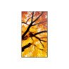Monitor profesional Sharp de 32 m322 full HD 1920 x 1080 24, 7, 450 cd, m2, 40001, HDMI, DisplayPort HDCP, USB, rj-45