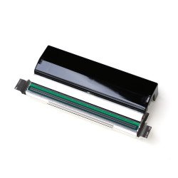 Zebra P1083320-011 cabeza de impresora Transferencia térmica