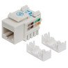 Jack Intellinet cat 5e de impacto blanco