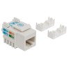 Jack Intellinet cat 5e de impacto blanco