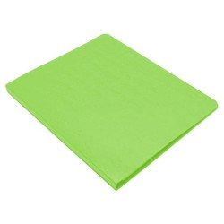 Folder Accopress verde claro con broche