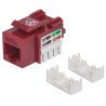 Jack Intellinet cat 5e de impacto rojo