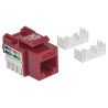 Jack Intellinet cat 5e de impacto rojo