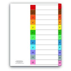 Separador multidex con 12 divisiones con 