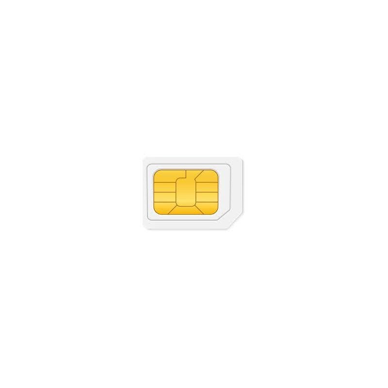 Renovación por un año de servicio para SIM25GPS
