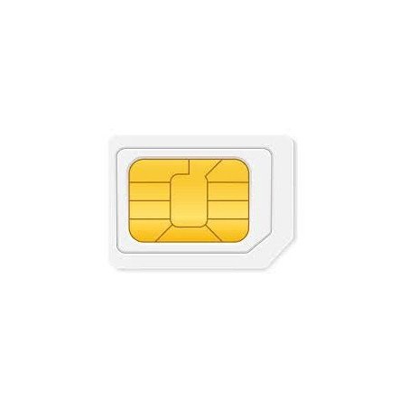 Renovación por un año de servicio para SIM25GPS