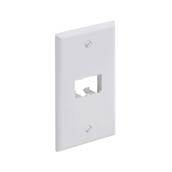 Placa de pared vertical clásica, salida para 2 puertos mini-com, color blanco mate