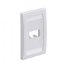 Placa Ejecutiva Panduit CFPE2WHY - Color blanco