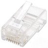 Plug RJ45 Cat 6 Intellinet UTP multifilar 100 piezas