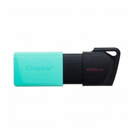 Memoria USB de 256GB Kingston DTXM/256GB (Black + Teal)