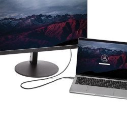 Cable Adaptador USB C a HDMI StarTech.com CDP2HD2MBNL - 2 m, USB C, HDMI, Negro