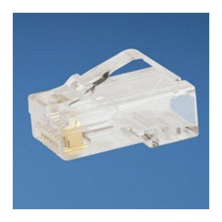 Plug modular Panduit - Transparente