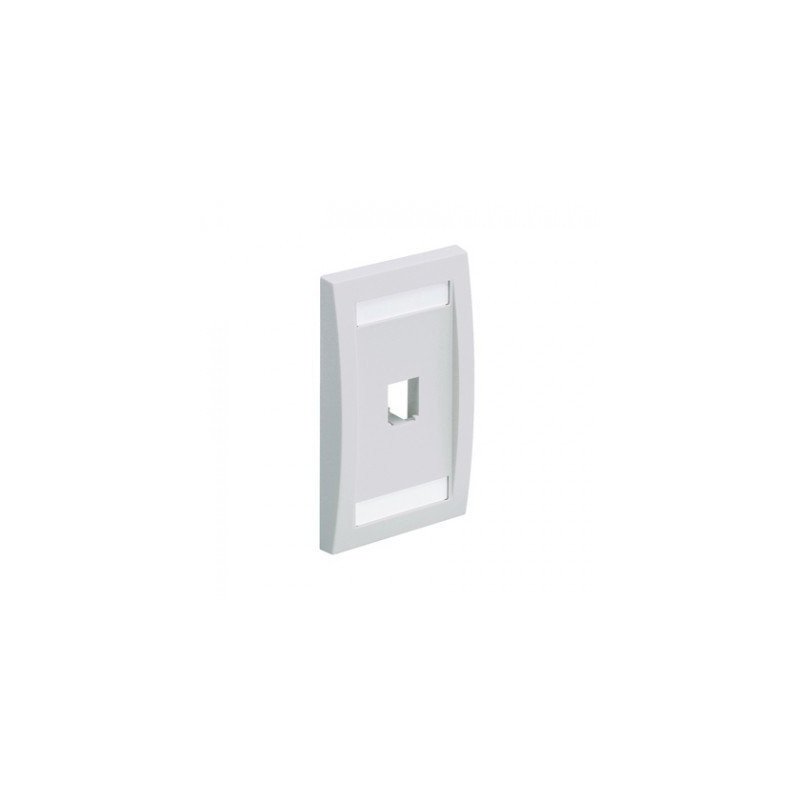 Placa Ejecutiva Panduit cfpe1why - Color blanco