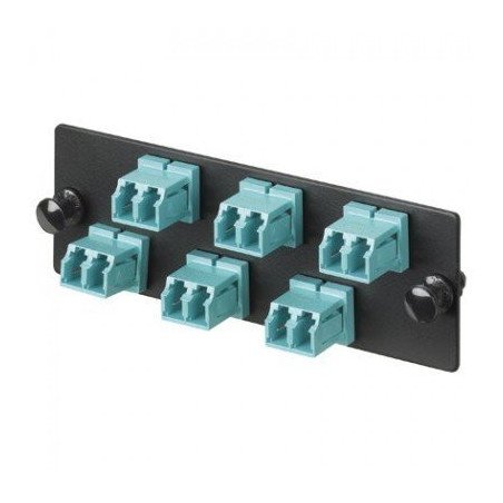 Módulo (FAP) Panduit FAP6WAQDLCZ - Negro