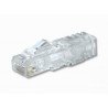 Tx-6 plus modular plug Panduit sp688-c - RJ-45, Transparente