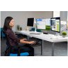 ErgoSoft Reposamuñecas Kensington K52802WW para ratón estándar (negro) -