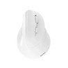 Mouse Acteck Virtuos Fitt MI520, ergonómico, vertical, inalámbrico, dual bluetooth + adaptador USB, 2400 DPI, recargable, blanco