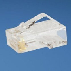 Plug modular Panduit - Transparente